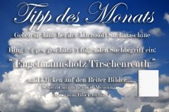 Nr.-902-Tipp-des-Monats-Engelmannsholz