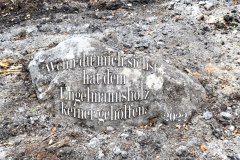 Nr.-930-Die-Auffuehrung-der-Realsatiren-um-das-Engelmannsholz