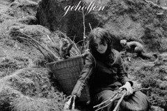 Nr.-974-Dem-Engelmannsholz-hat-niemand-geholfen