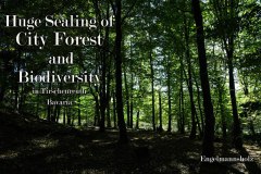 Nr.-977-Sealing-of-Biodiversity-Engelmannsholz