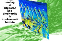 Nr.-994-Sealing-of-Engelmannsholz