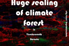 Nr.-998-Sealing-of-city-Forest