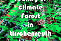 Nr.-999-Sealing-of-city-forest-Tirscherneuth