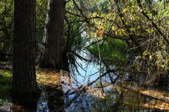 Nr.-251-Einmuendung-Engelmannsteich