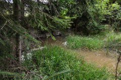 Nr.-724-Ablauf-Engelmannsteich