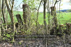 18.-Rodung-Naturschutzstreifen-Baernau