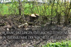 20.-Rodung-Vogelschutzzone-Baernau