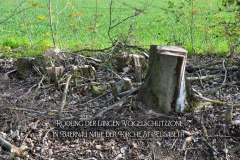 21.-Rodung-der-Vogelschutzzone-in-Baernau