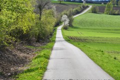 27.-Rodung-des-Vogelschutzstreifens-in-Baernau