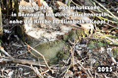 47.-Rodung-Vogelschutzzone-Baernau