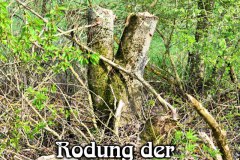 66-Rodung-Vogelschutzzone-Baernau