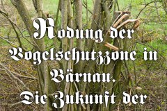 71-Rodung-Naturschutzstriefen-in-Baernau-Oberpfalz