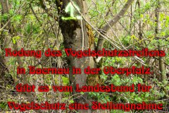 72-Rodung-des-Naturschutzstreifens-in-Bauernau-Oberpfalz