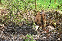 9.-Rodung-Naturschutzstreifen-Baernau