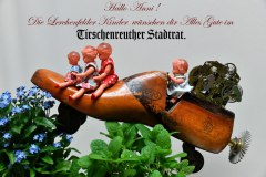 Anni-im-Tirschenreuther-Stadtrat