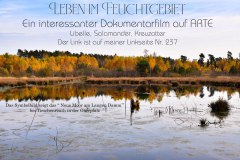 Dokumentarfilm ARTE Leben im Feuchtgebiet