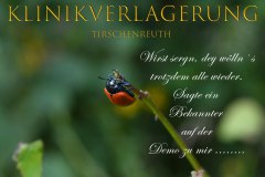 Klinikverlagerung