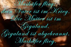 Maikaefer-Flieg-Volkslied