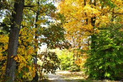 Nr.-108-Wandern-im-Landkreis-Tirschenreuth