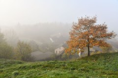 Nr.-130-Burgruine-Liebenstein
