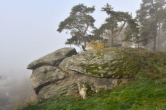 Nr.-139-Burgruine-Liebenstein