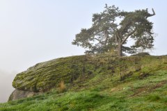 Nr.-144-Burgruine-Liebenstein