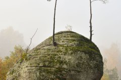 Nr.-151-Burgruine-Liebenstein