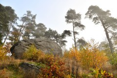 Nr.-157-Burgruine-Liebenstein