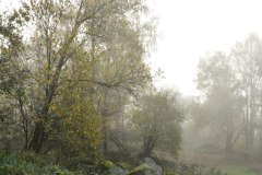 Nr.-158-Burgruine-Liebenstein