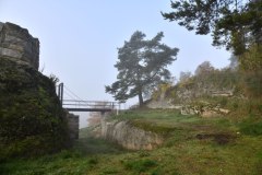 Nr.-171-Burgruine-Liebenstein