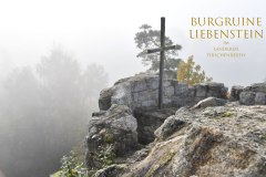 Nr.-183-Burgruine-Liebenstein