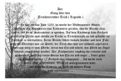 Nr.-190-Der-Gang-ueber-den-Tirschenreuther-Teich