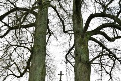Nr.-212-Feldkreuz-bei-Leichau