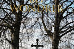 Nr.-216-Altes-Wegkreuz-Wondreb