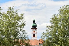 Nr.-227-Stadtansicht-aus-Fischhofpark