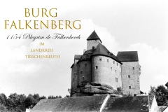 Nr.-231-Burg-Falkenberg