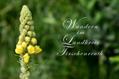 Nr.-232-Wandern-im-Landkreis-Tirschenreuth