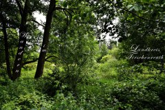 Nr.-233-Wandern-im-Landkreis-Tirschenreuth