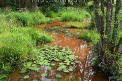 Nr.-235-Wandern-im-Landkreis-Tirschenreuth