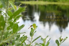 Nr.-237-Wandern-im-Landkreis-Tirschenreuth
