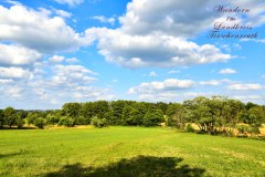 Nr.-241-Wanderung-zum-Seeteich