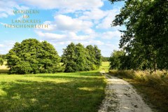 Nr.-242-Wanderung-Seeteich