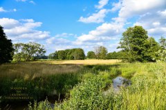 Nr.-244-Wandern-zum-Seeteich
