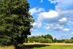 Nr.-245-Wanderung-zum-Seeteich