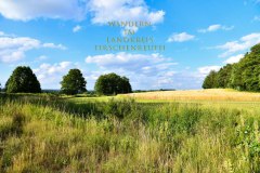 Nr.-246-Wanderung-zum-Seeteich