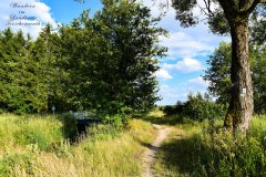 Nr.-247-Wanderung-Seeteich