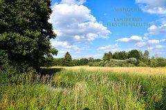 Nr.-248-Wanderung-Seeteich