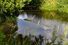 Nr.-249-Wandern-zum-Seeteich