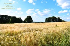 Nr.-251-Wanderung-zum-Seeteich-Tirschenreuth
