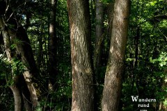 Nr.-255-Wandern-rund-um-Tirschenreuth